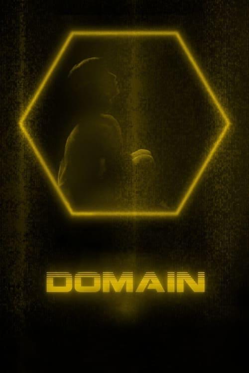 Domain Poster