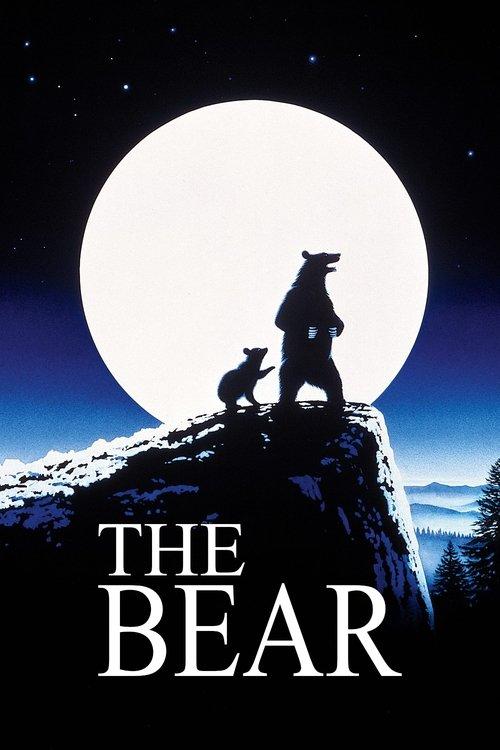 The Bear Poster