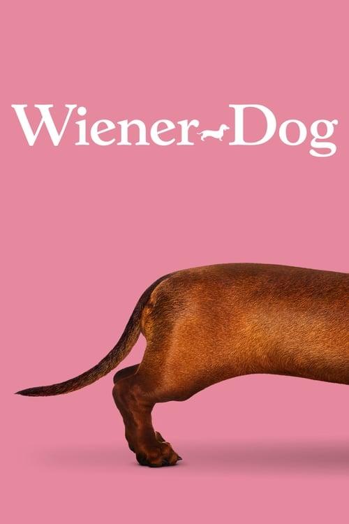 Wiener-Dog Poster