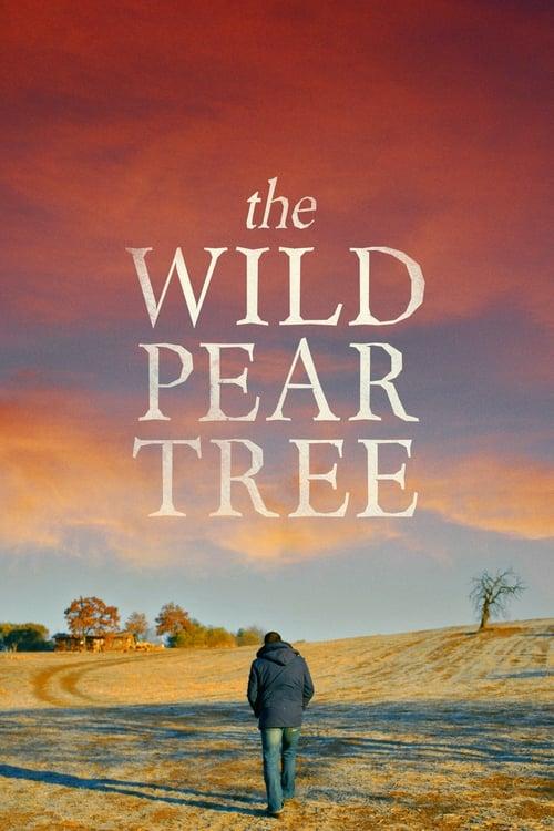 The Wild Pear Tree Poster