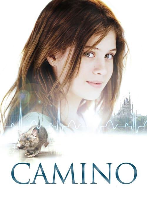 Camino Poster