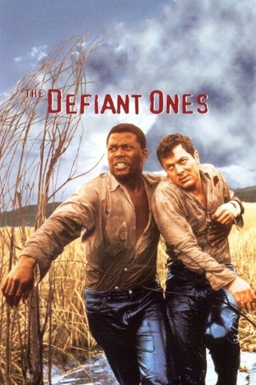 The Defiant Ones Poster