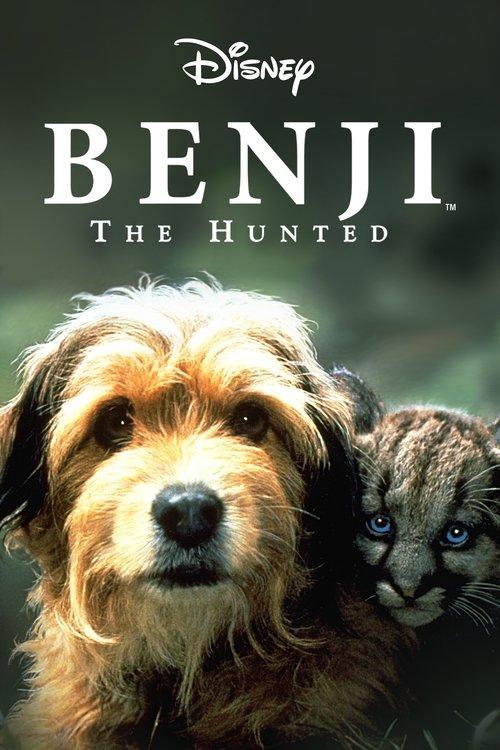 Benji the Hunted Poster