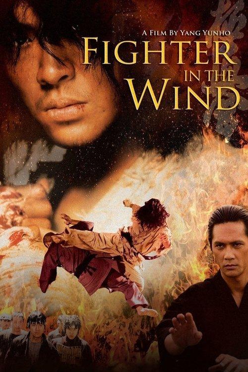 Fighter in the Wind Poster