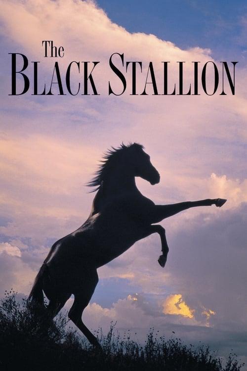 The Black Stallion Poster