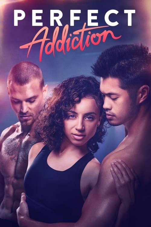 Perfect Addiction Poster