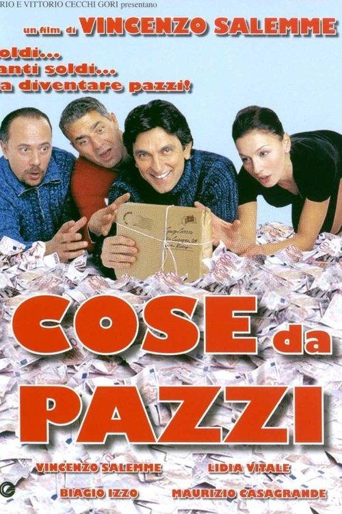 Cose da pazzi Poster