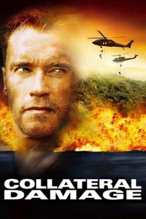 Collateral Damage Poster