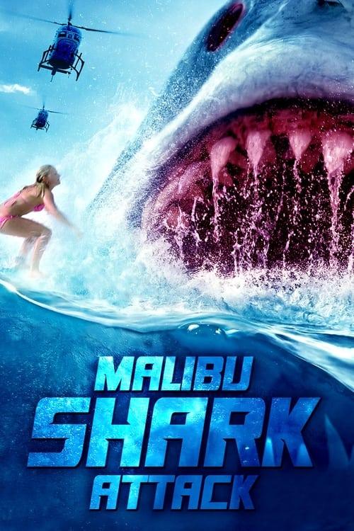 Malibu Shark Attack Poster