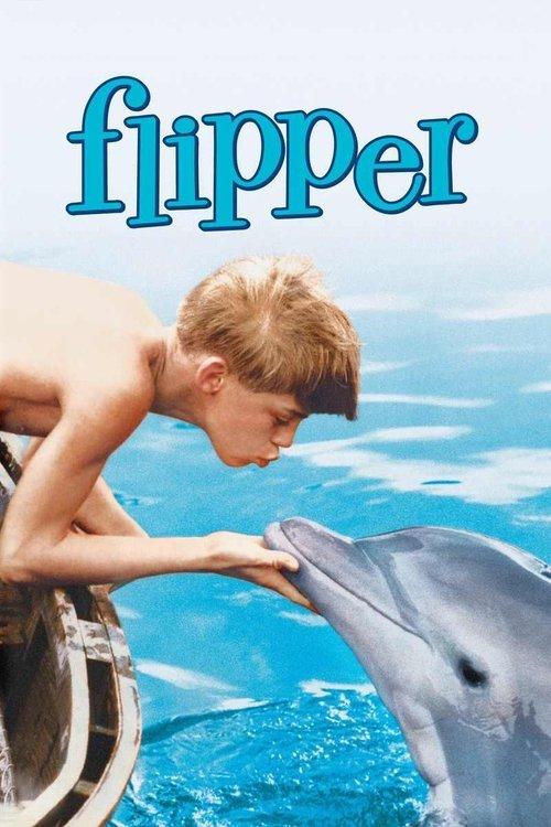 Flipper Poster