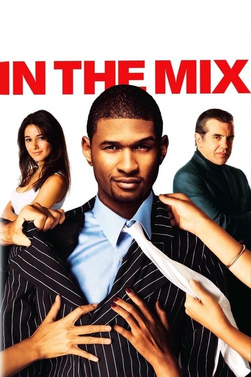 In The Mix Poster