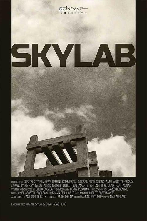 Skylab Poster