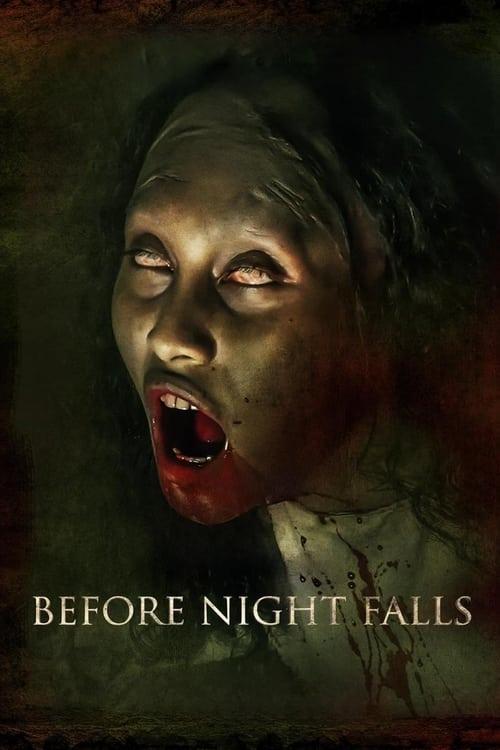 Before Night Falls Poster