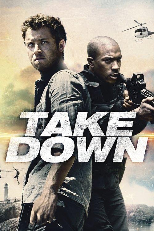 Take Down Poster