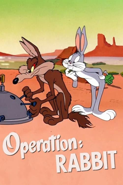 Operation: Rabbit Poster