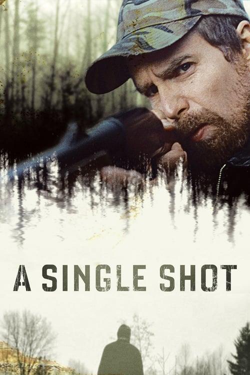 A Single Shot Poster