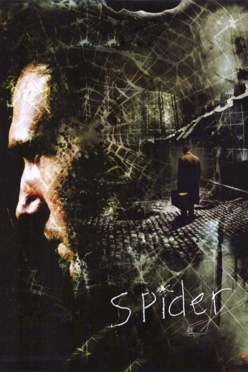 Spider Poster